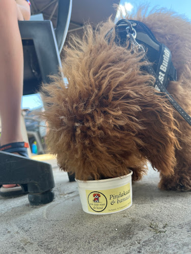 't Smultuintje - Horeca