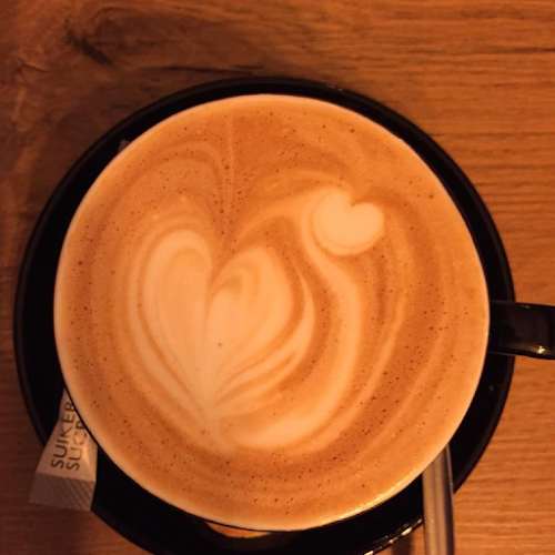 O-CORTADO - Antwerpen