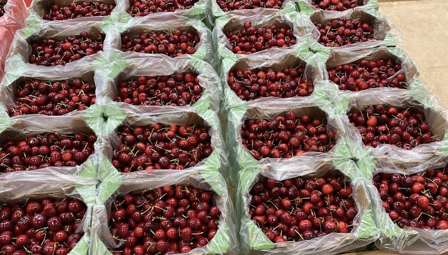 Opinii despre Chez Galip - Primeur în Sint-Lambrechts-Woluwe - Horeca