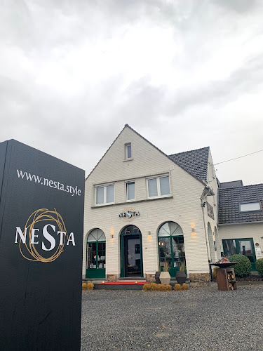 Comentarii opinii despre Nesta