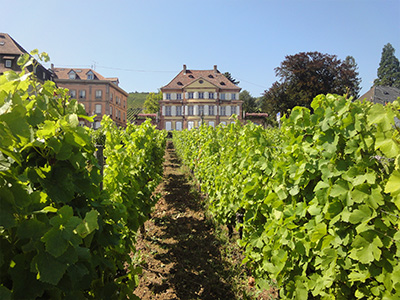 Comentarii opinii despre Natur'à Vin