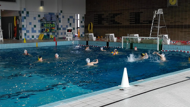 Comentarii opinii despre Baan 7