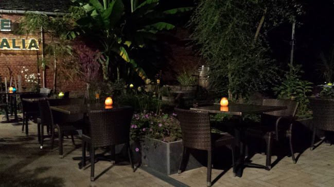 http://www.ristoranteitalia.be/