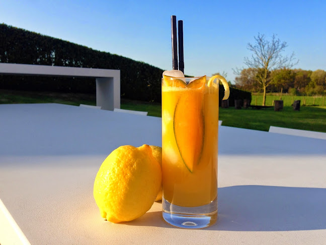 Govaert Cocktails - Horeca