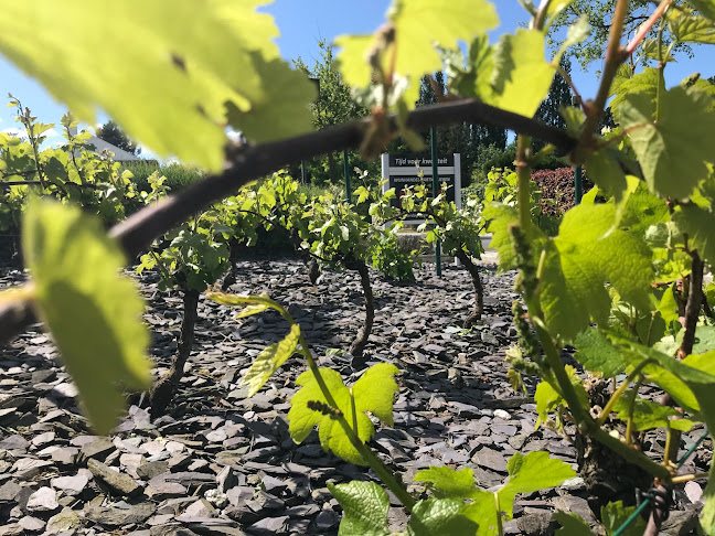 https://www.globalwines.be/