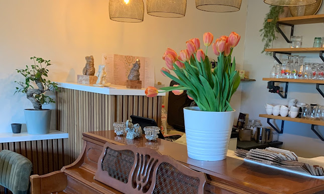 Cozy Thai