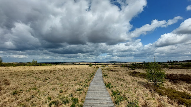 Opinii despre La Baraque Michel în Jalhay - Horeca