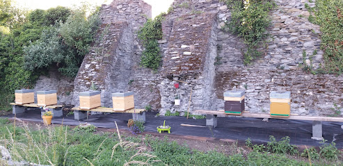 Domaine des ailes d'anges