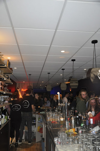 T Antwoord - Torhout