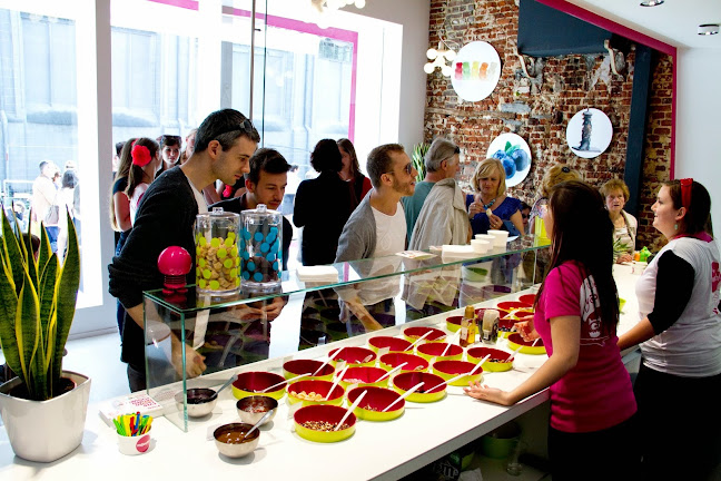 Moochie Fabulous Frozen Yogurt Gent - Horeca