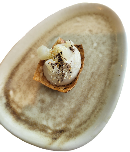 Nova - Horeca