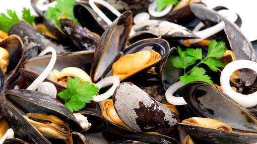 Reviews of Restaurant Diana in Lommel - Horeca