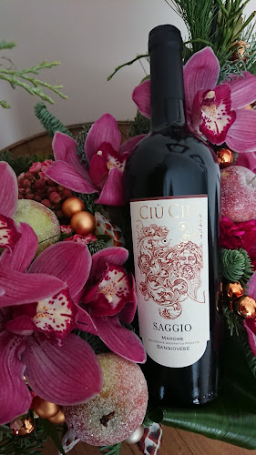 Dolio Vinum Phone number