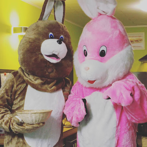 Wittesteenstraat 9/Bus 1, 3990 Peer