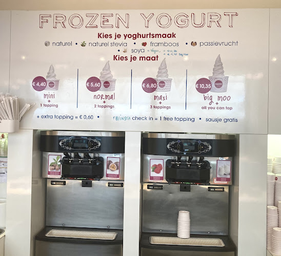 Opinii despre Moochie Fabulous Frozen Yogurt Gent în Gent - Horeca