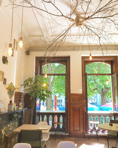 Comments and reviews of Boulebaar