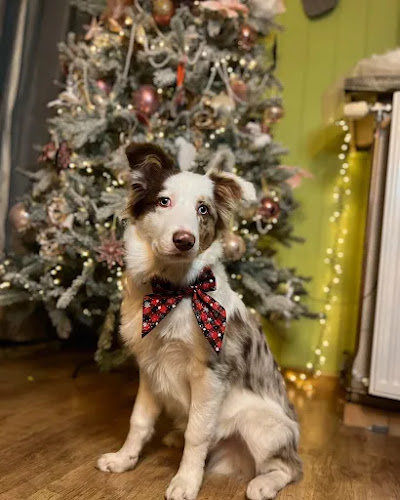 Rue Haute Marcelle 6, 5000 Namur