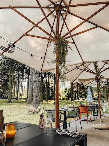 Comentarii opinii despre R A A M - Raamfood