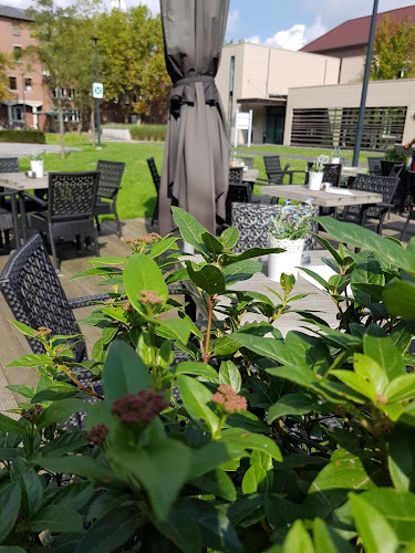 Brasserie De Witte - Maasmechelen