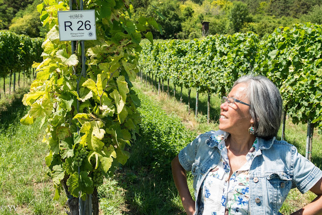 Comentarii opinii despre Melanie's World Of Wine And More