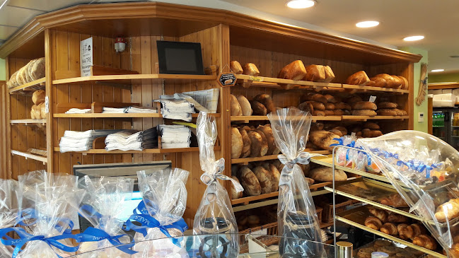 Comentarii opinii despre Maes/Fabrice