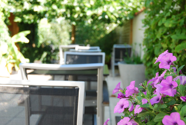 Comentarii opinii despre Esterel