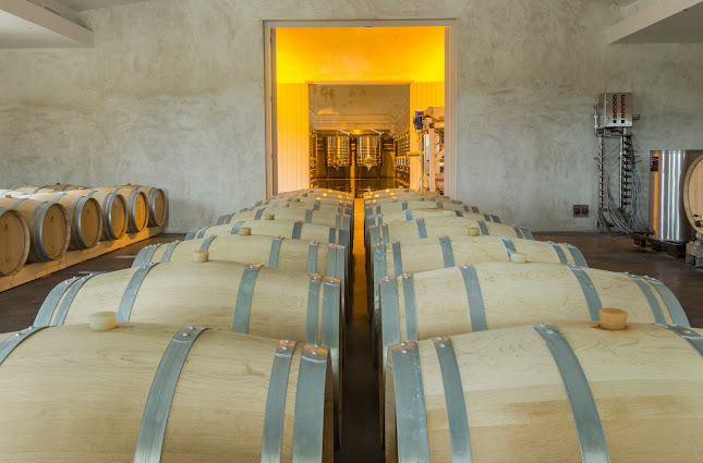 Caves LENOIR - Kortrijk