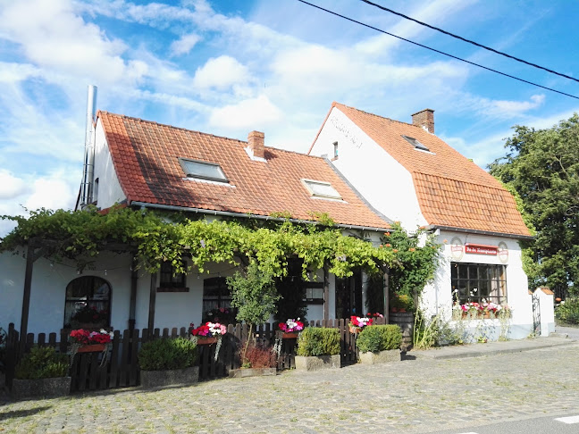 Comments and reviews of In de rustplaats