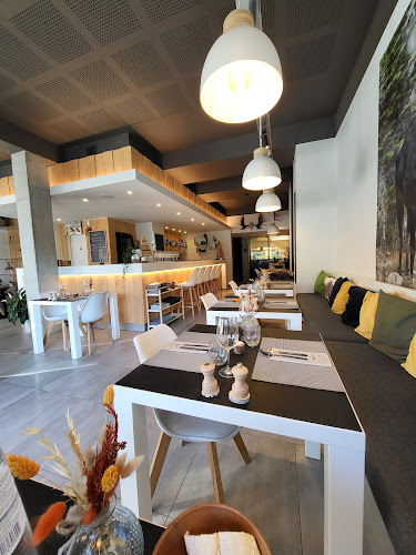 Comentarii opinii despre MOOSE