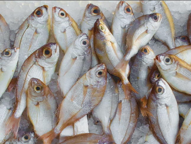 La Criée HR - Poissonnerie De Wand - Horeca