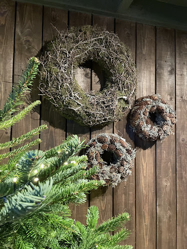 Comentarii opinii despre Charme de Wibrin