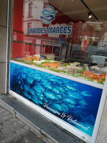 Grandes Marées Haecht Open Times