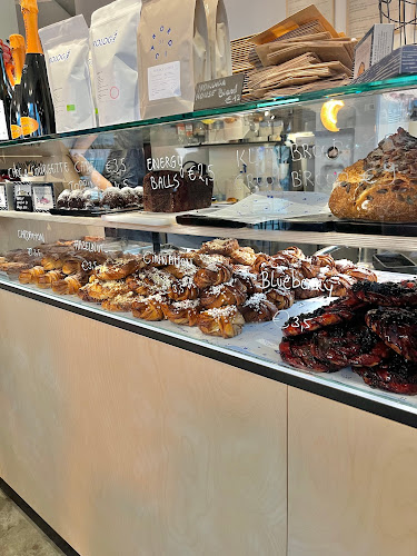 Comentarii opinii despre Nordica 31