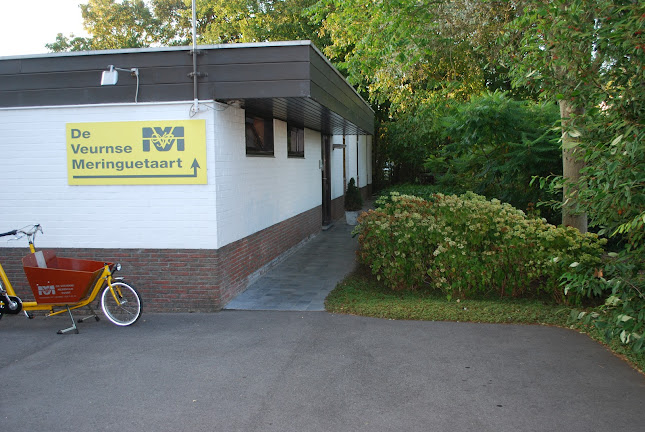 De Veurnse Meringuetaart - Vera De Hollander Open Times