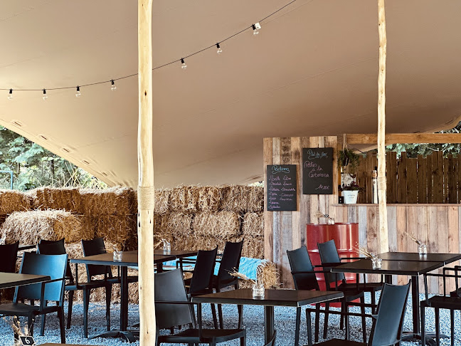 Comentarii opinii despre Originell