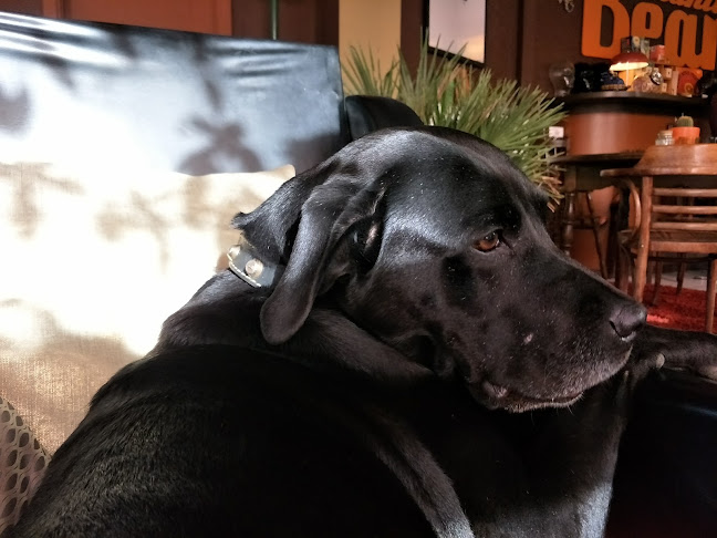 Shanti Beans - Horeca