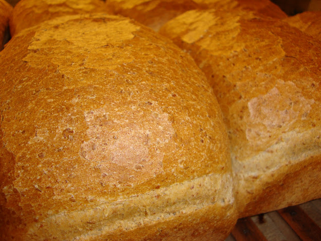 https://www.openingsurengids.be/bakkerij-hoebeke/geraardsbergen/1