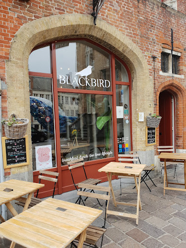 Comentarii opinii despre Blackbird