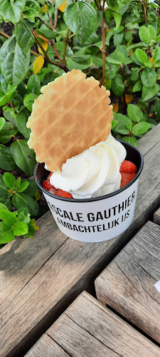 Roomijs Gauthier Pascale - Mechelen