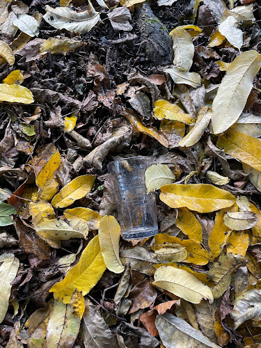 Opinii despre Helmet Fourchet' buurt soep- en ontmoetingspunt va eind augustus 2019! în Vilvoorde - Horeca