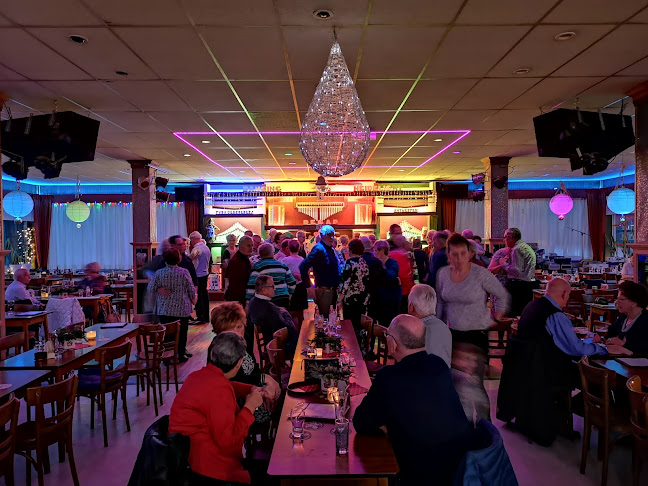 Comentarii opinii despre Dancing Heidelicht bvba