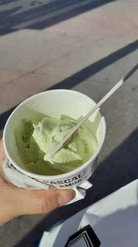 Roomijs Gauthier Pascale - Horeca