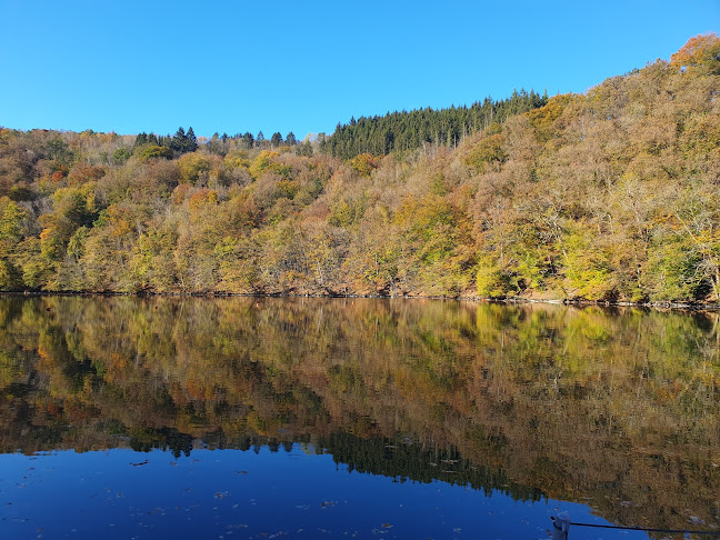 Taverne Du Barrage - Houffalize