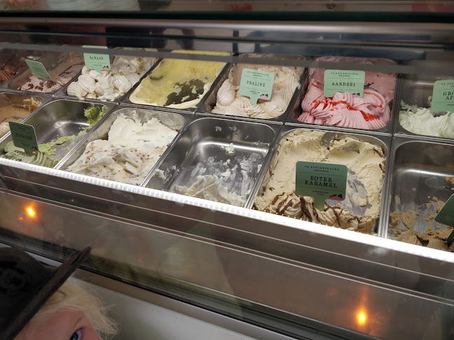 Comentarii opinii despre Ijsboerderij De Kerckepolder