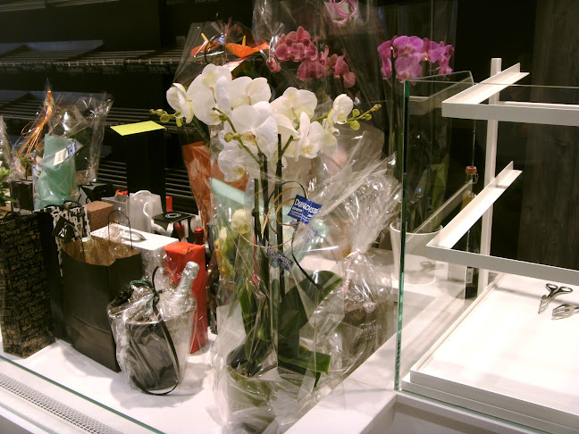 Comentarii opinii despre Bakkerij Devooght-De Witte