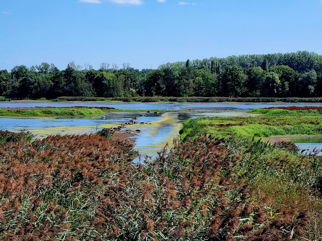 Bistro Het Vinne by Rux & Roll - Zoutleeuw