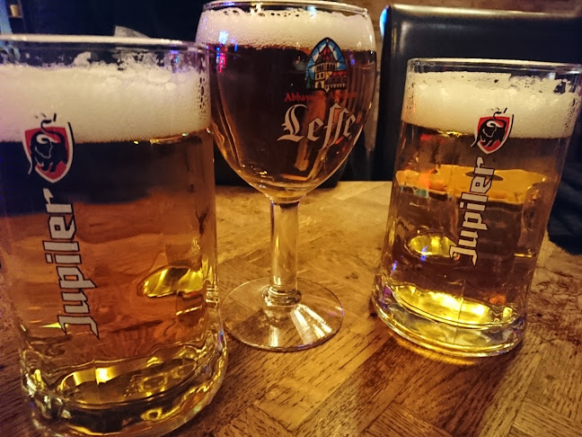 Violon du Parc Cafe - Koekelberg