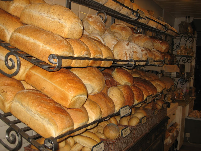 Reviews of Patisserie Freddy in Ichtegem - Horeca