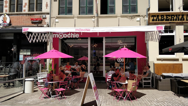 Moochie Fabulous Frozen Yogurt Gent - Horeca