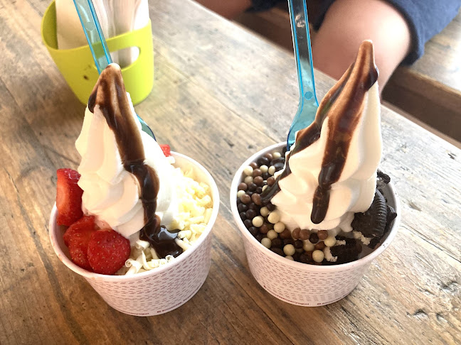 Moochie Fabulous Frozen Yogurt Gent - Horeca